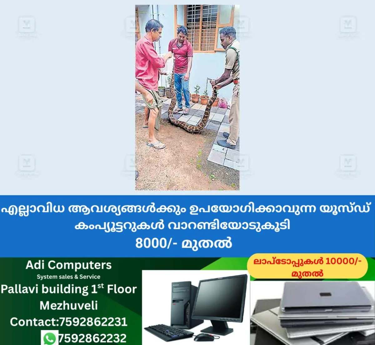 newskerala.net_1762076903_palakad-snake