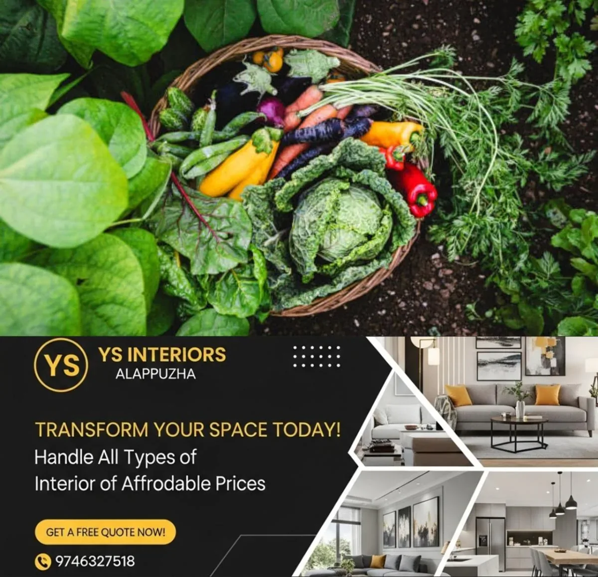 newskerala.net_1762119723_w-1280h-720format-jpgimgid-01k8whhzm9bn2zbxb330a88qvximgname-vegetables-to-grow-in-november-1761