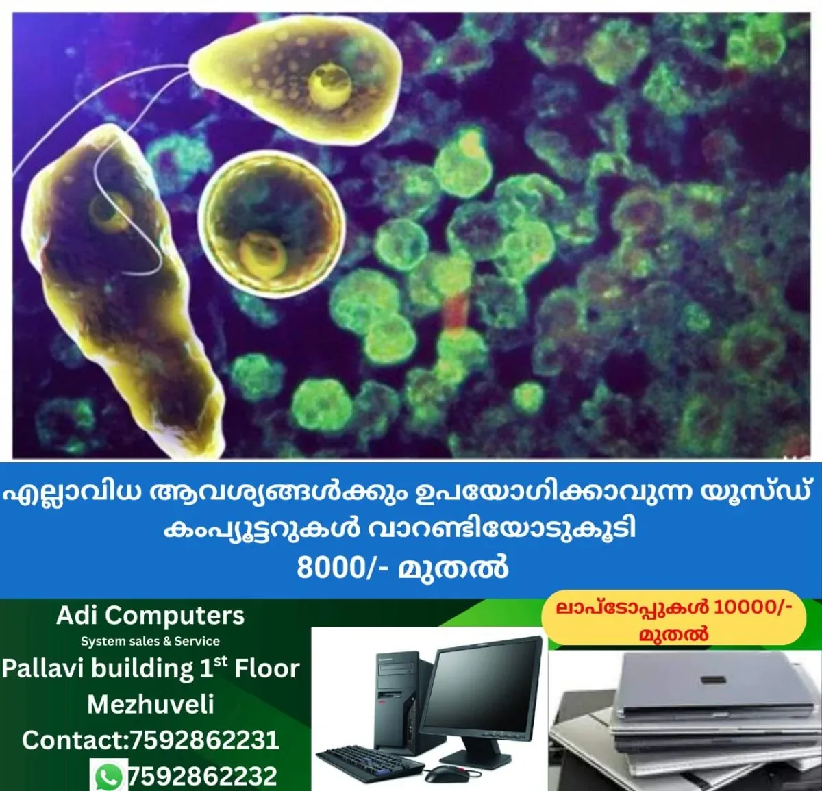 newskerala.net_1762149183_w-1280h-720format-jpgimgid-01j21d18x5z3gk7cbpfdebcbxximgname-amoebic-encephalitis