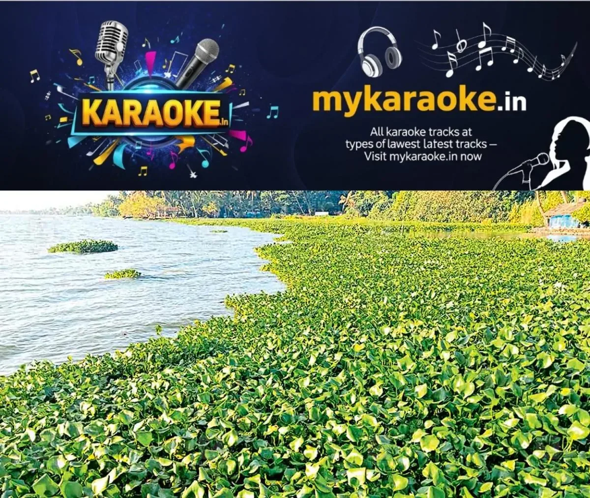 newskerala.net_1762152423_udayaperur-vegitation