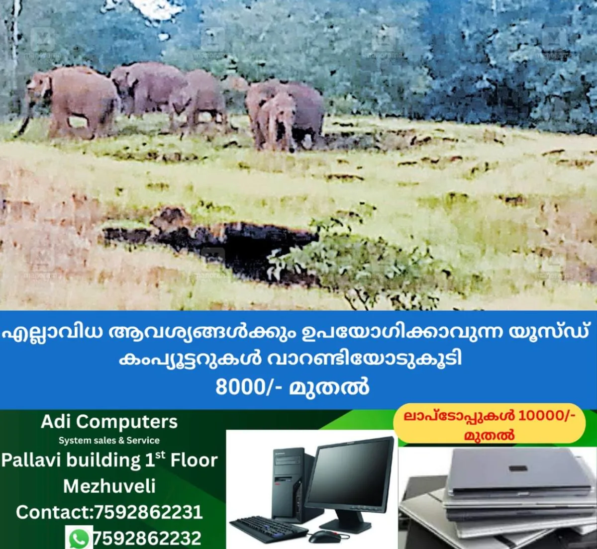 newskerala.net_1762197383_1762197267_wild-elephant