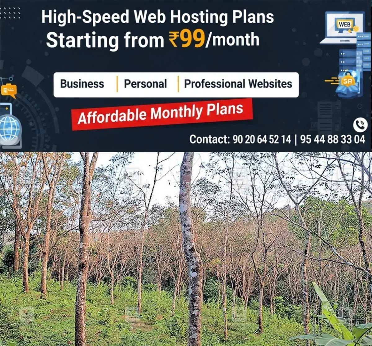 newskerala.net_1762203384_wayanad-mananthavady-pepper