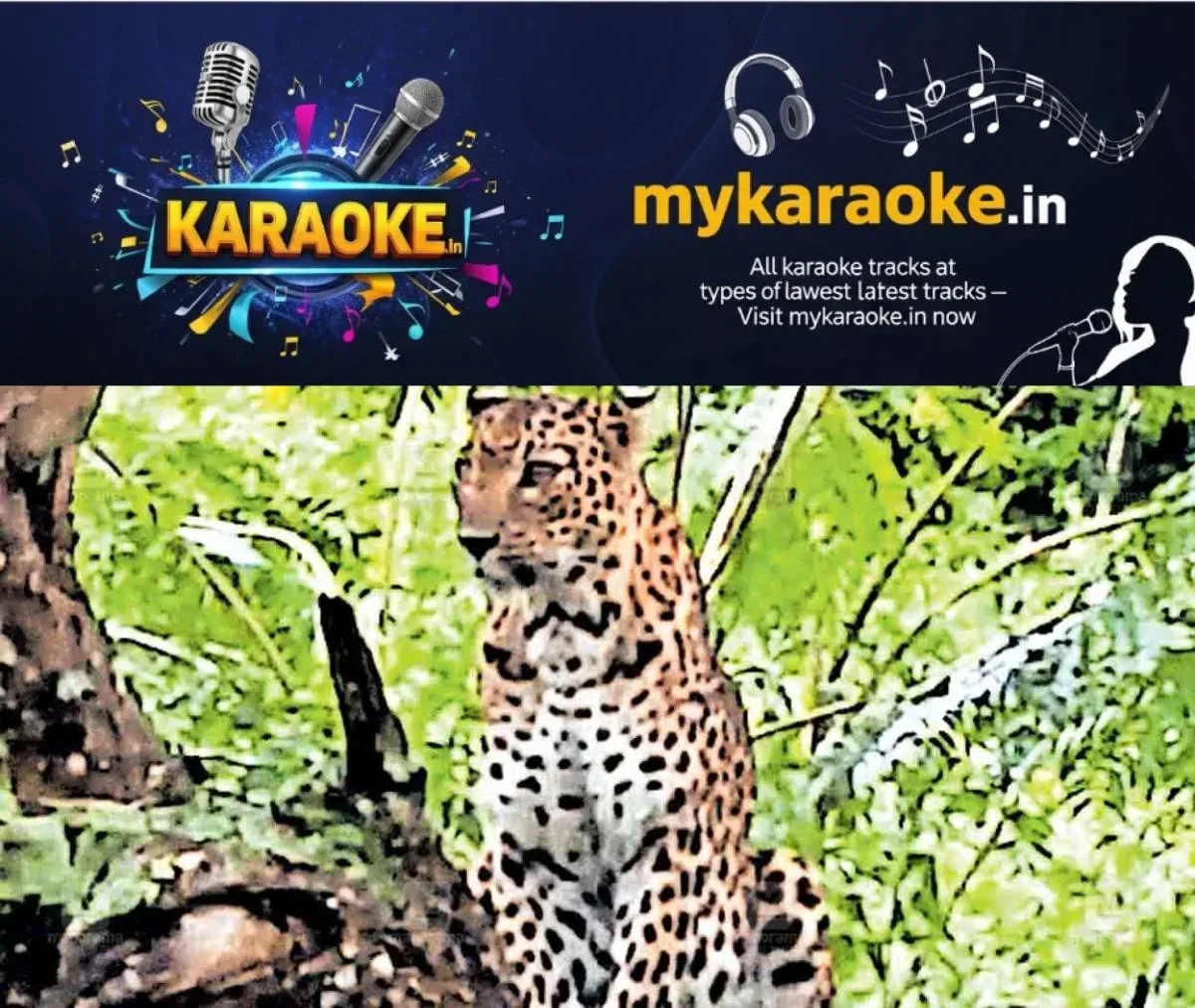 newskerala.net_1762244822_marayur-leopard
