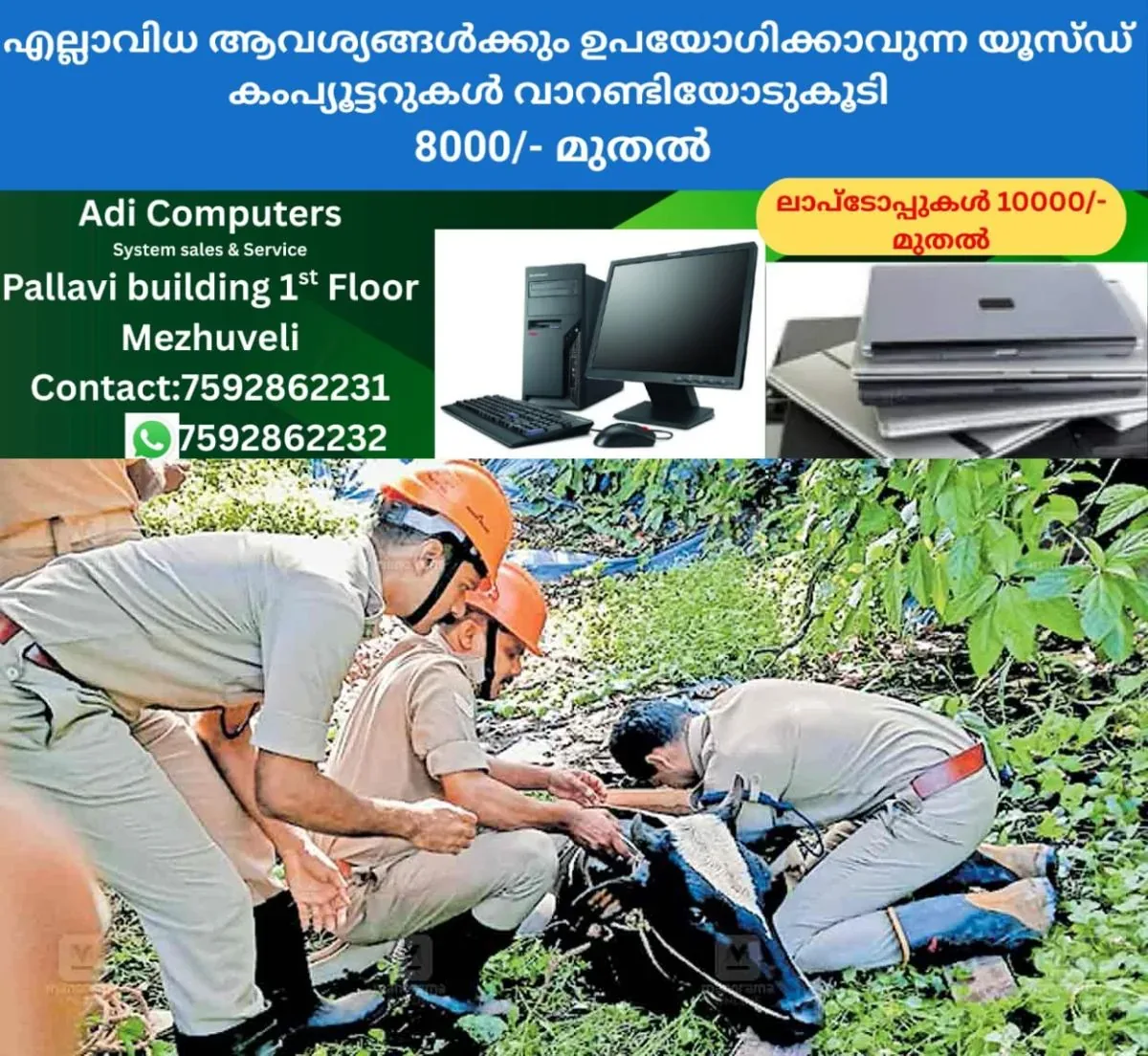 newskerala.net_1762321223_cow-rescue
