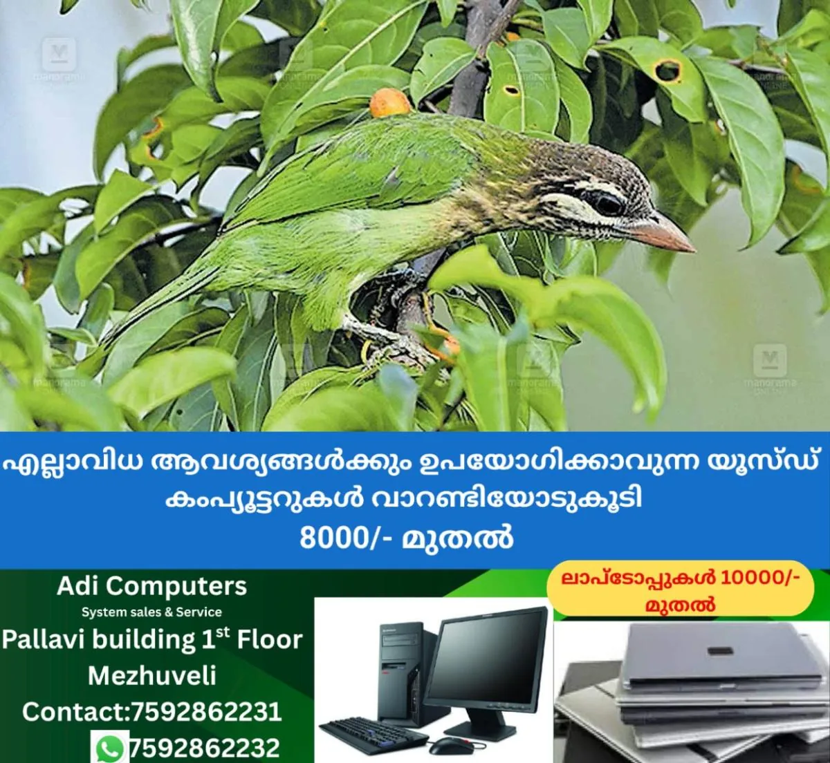 newskerala.net_1762329983_chinnakkutturuvan