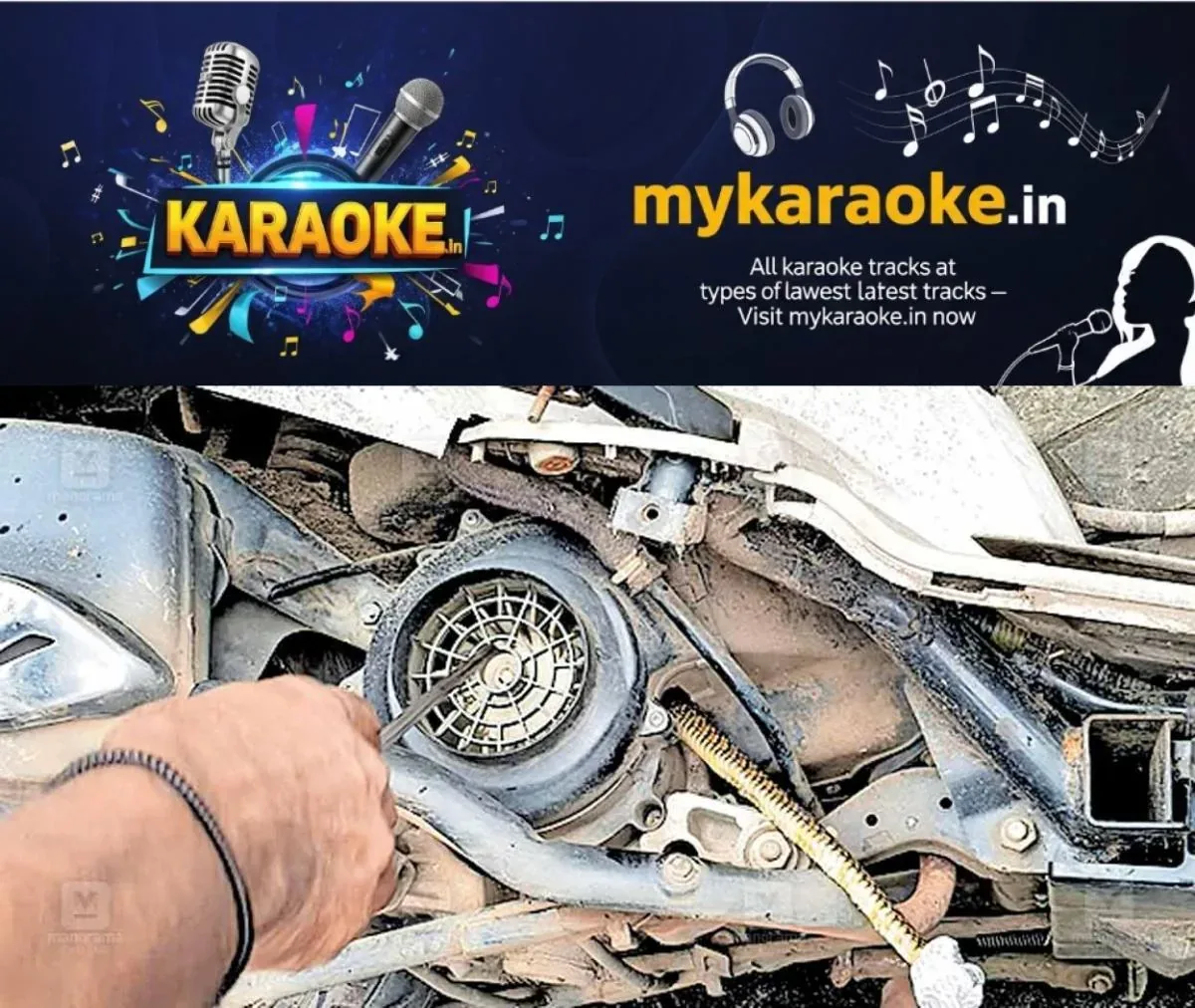 newskerala.net_1762400342_snake