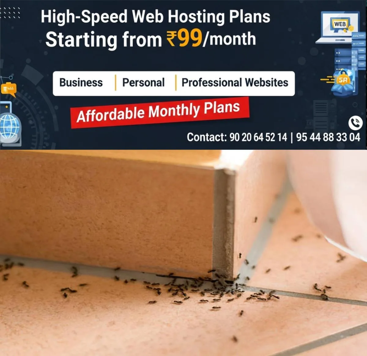 newskerala.net_1762447821_w-1280h-720format-jpgimgid-01jzqdjq489xvtt2tyy3p0gsz0imgname-ants-in-house-1-1752058911879