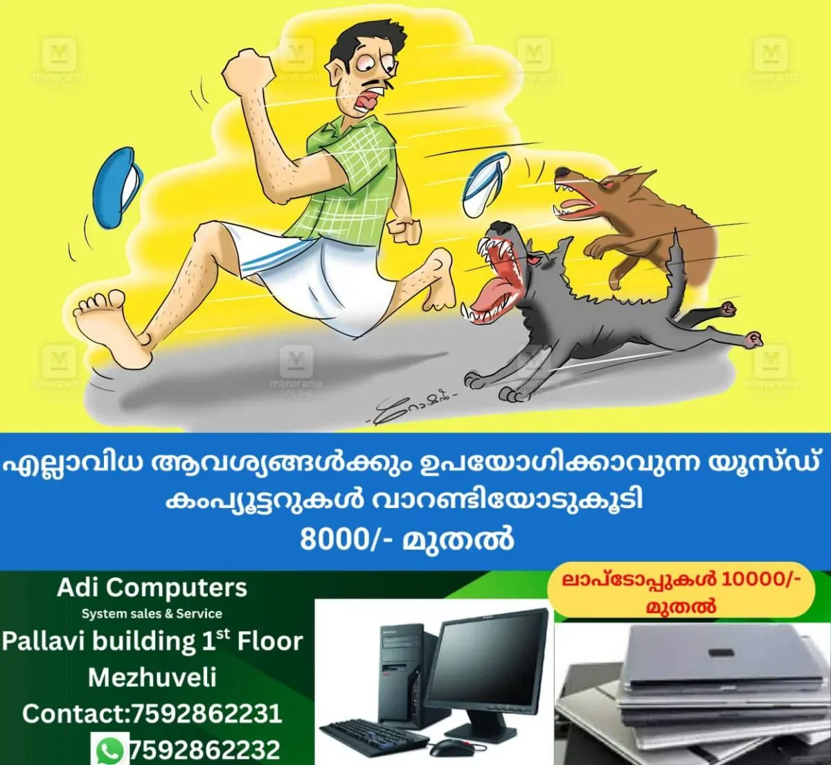 newskerala.net_1762496901_malappuram-stray-dogs