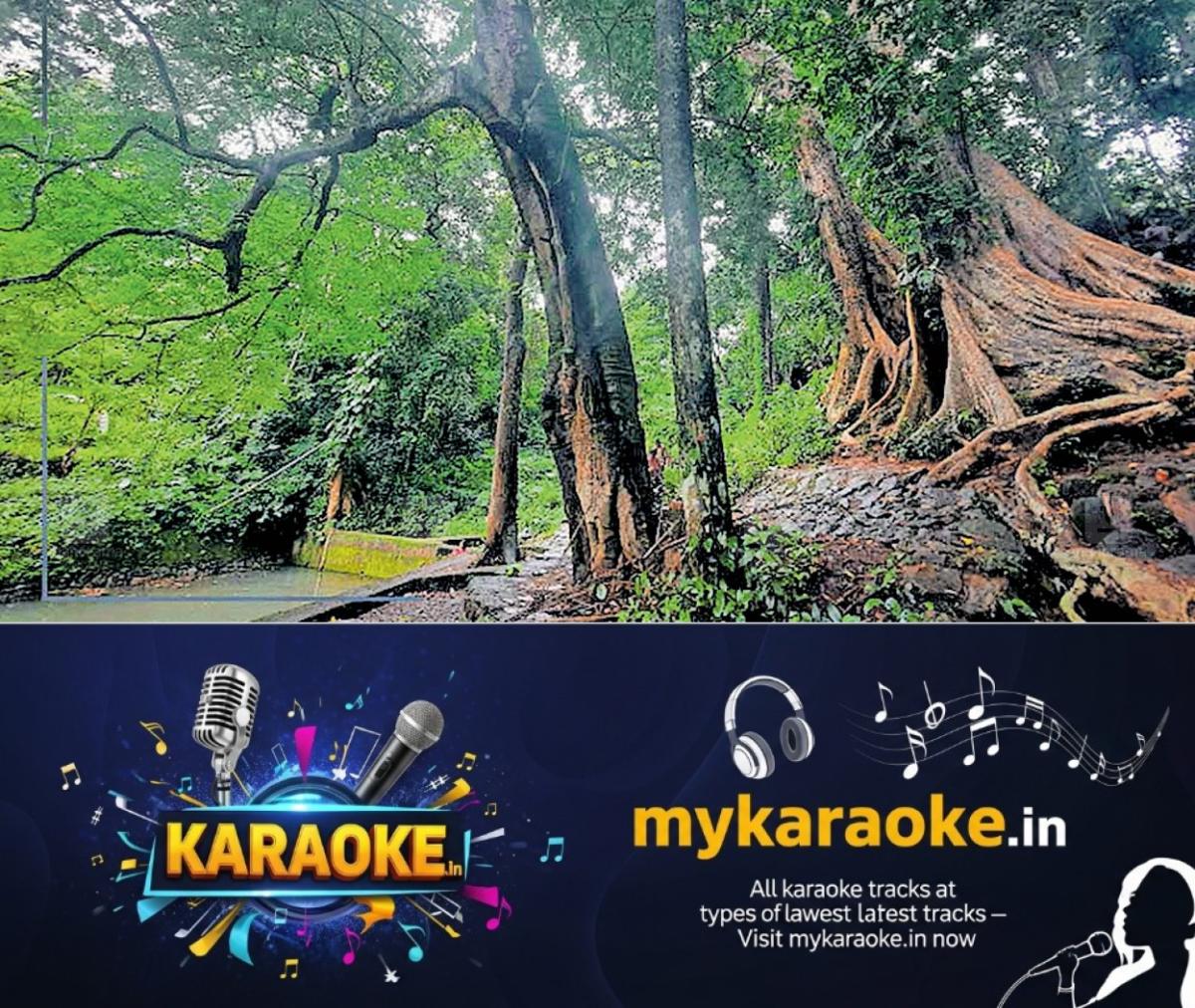 newskerala.net_1762543821_kocharikkal-place