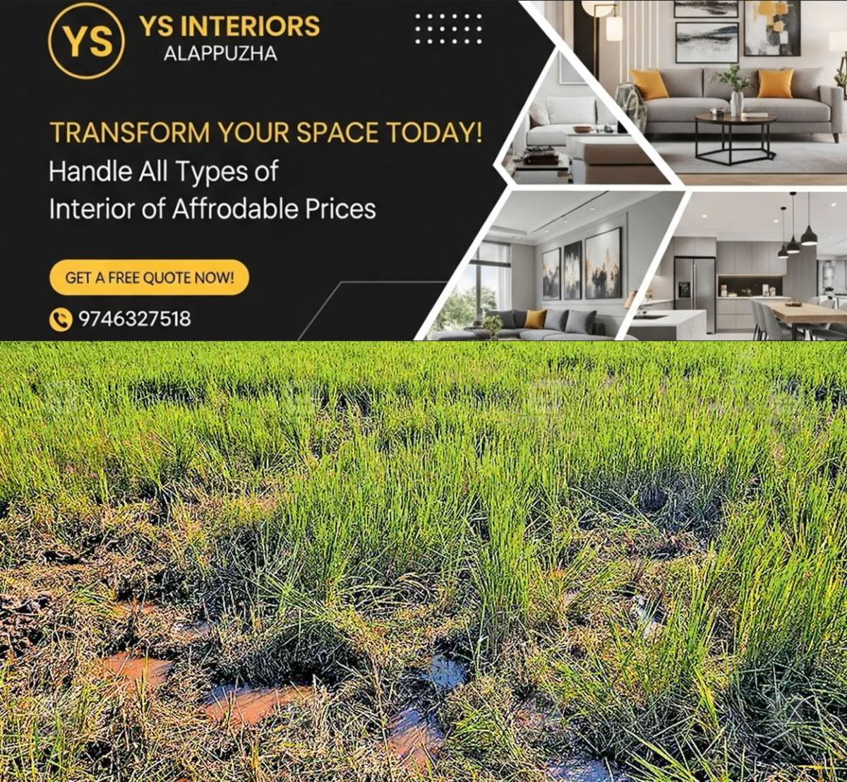 newskerala.net_1762550582_wild-elephant-attack