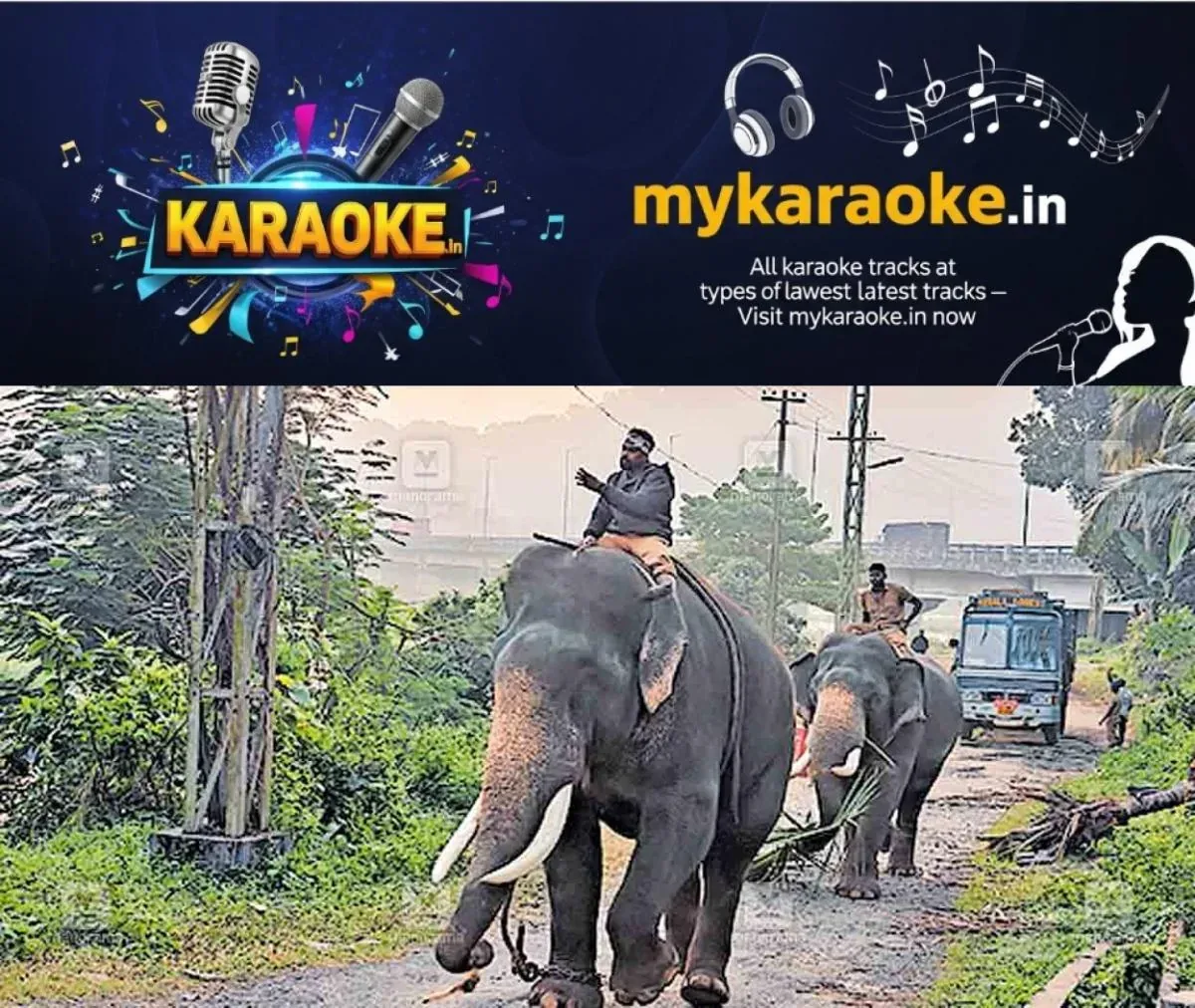 newskerala.net_1762558568_thrissur-kuthiran-elephant