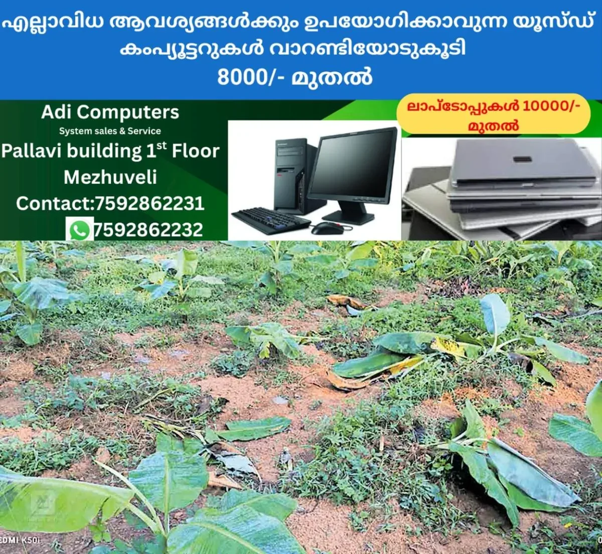 newskerala.net_1762579824_kozhikode-vinod-farming