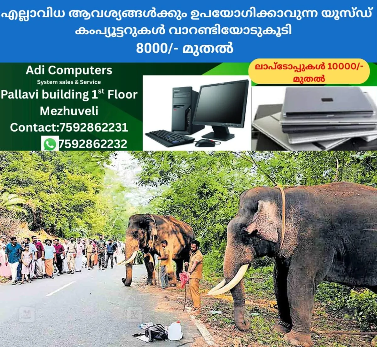 newskerala.net_1762676187_thrissur-kuthiran-elephants