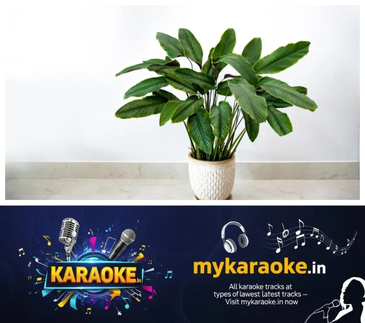 newskerala.net_1762691786_w-1280h-720format-jpgimgid-01k9m8wgg8f4n5gz3d4t0pa27himgname-fotojet-2025-11-09t174748.794-176