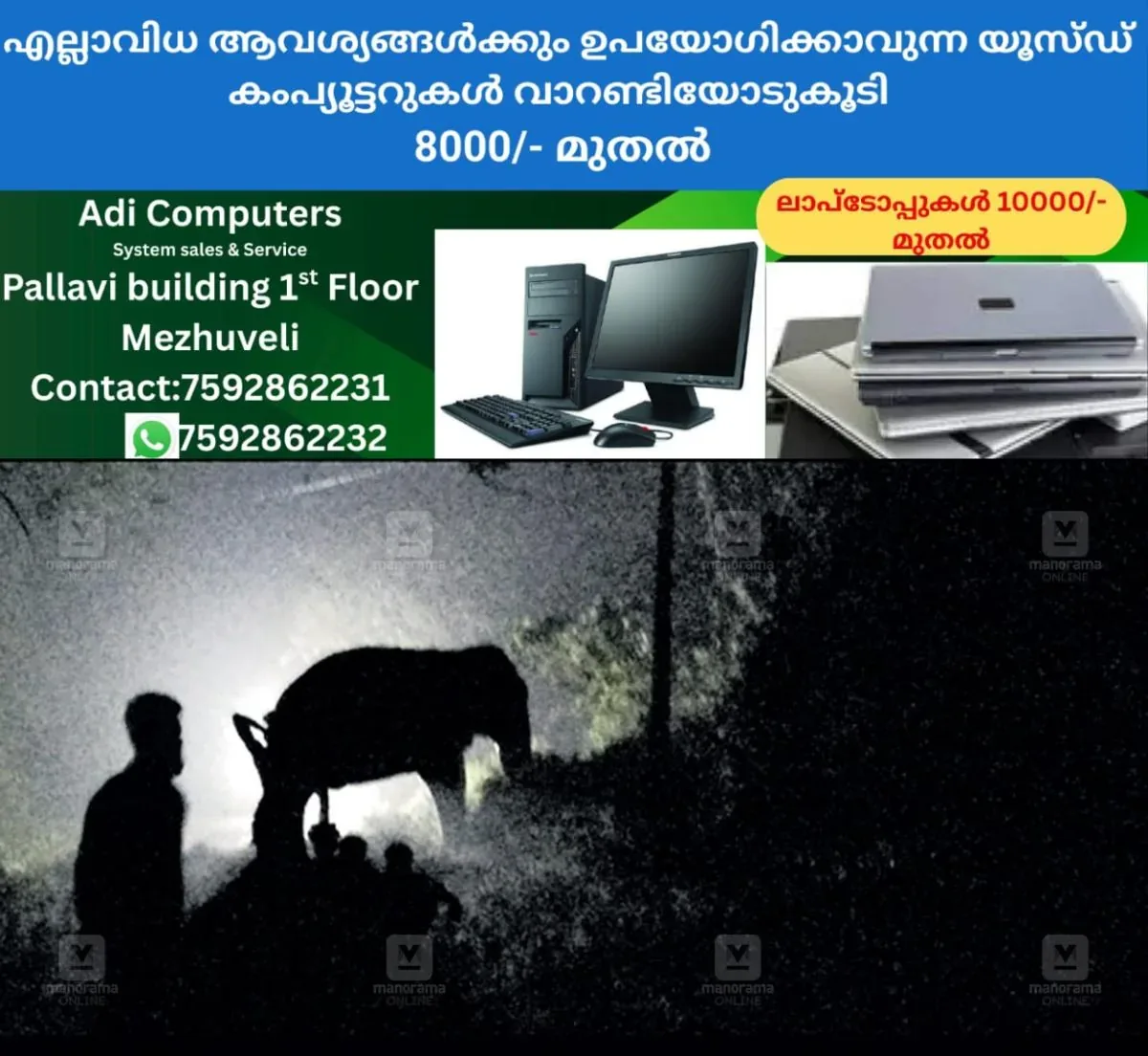 newskerala.net_1762755964_elephant-traffic-disruption