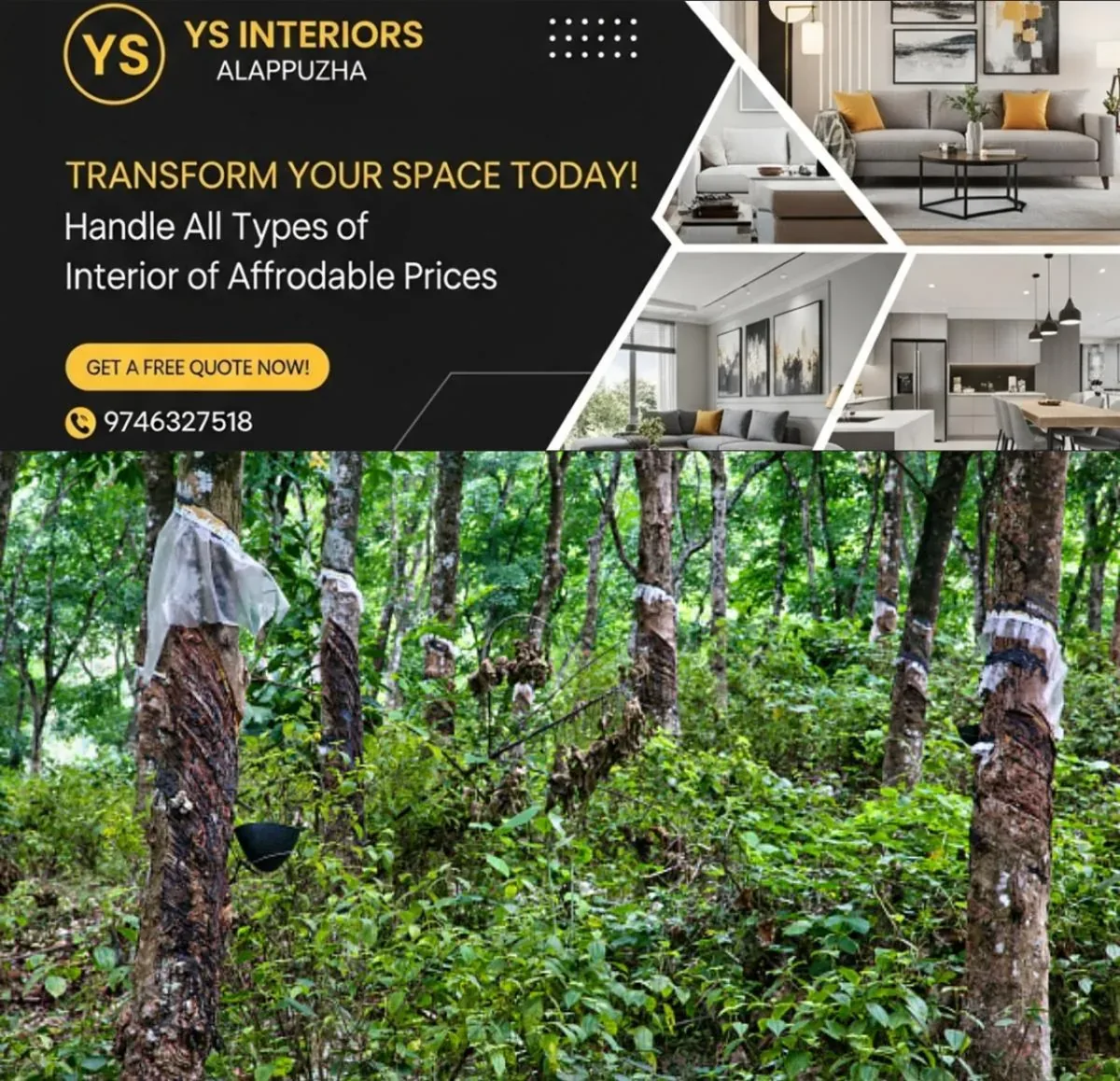 newskerala.net_1762765338_w-1280h-720format-jpgimgid-01k9pfzr2q3w3vyae2hyn9965aimgname-rubber-plantation-1762765299799.jp