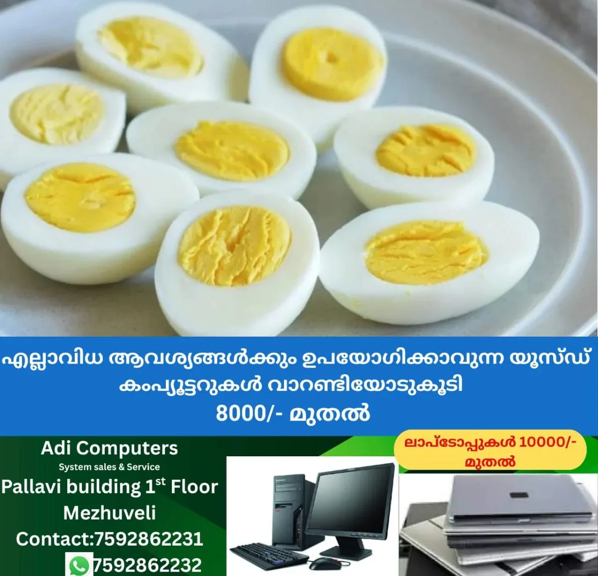 newskerala.net_1762794982_w-1280h-720format-jpgimgid-01k796x3gj1dpf3qktcqfmgxhbimgname-egg-1760172084753