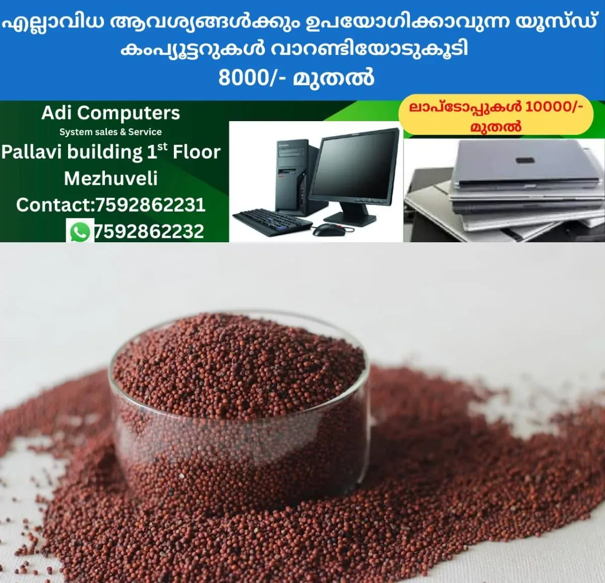 newskerala.net_1762986262_w-1280h-720format-jpgimgid-01k9wgjhkm2mej93t0q14q58gcimgname-j4v5lh8g-ragi-625x300-25-november-2