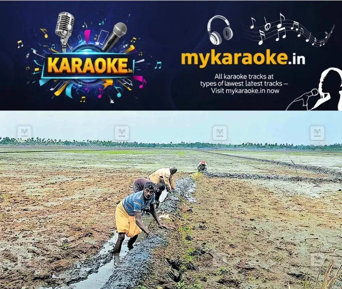 newskerala.net_1763005826_kadambadam-cherikkalakam-paadi-fields