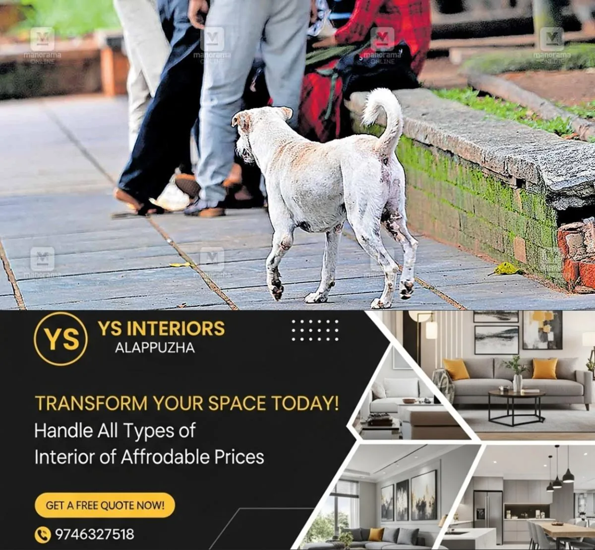 newskerala.net_1763011947_tvm-stray-dog-issue-2