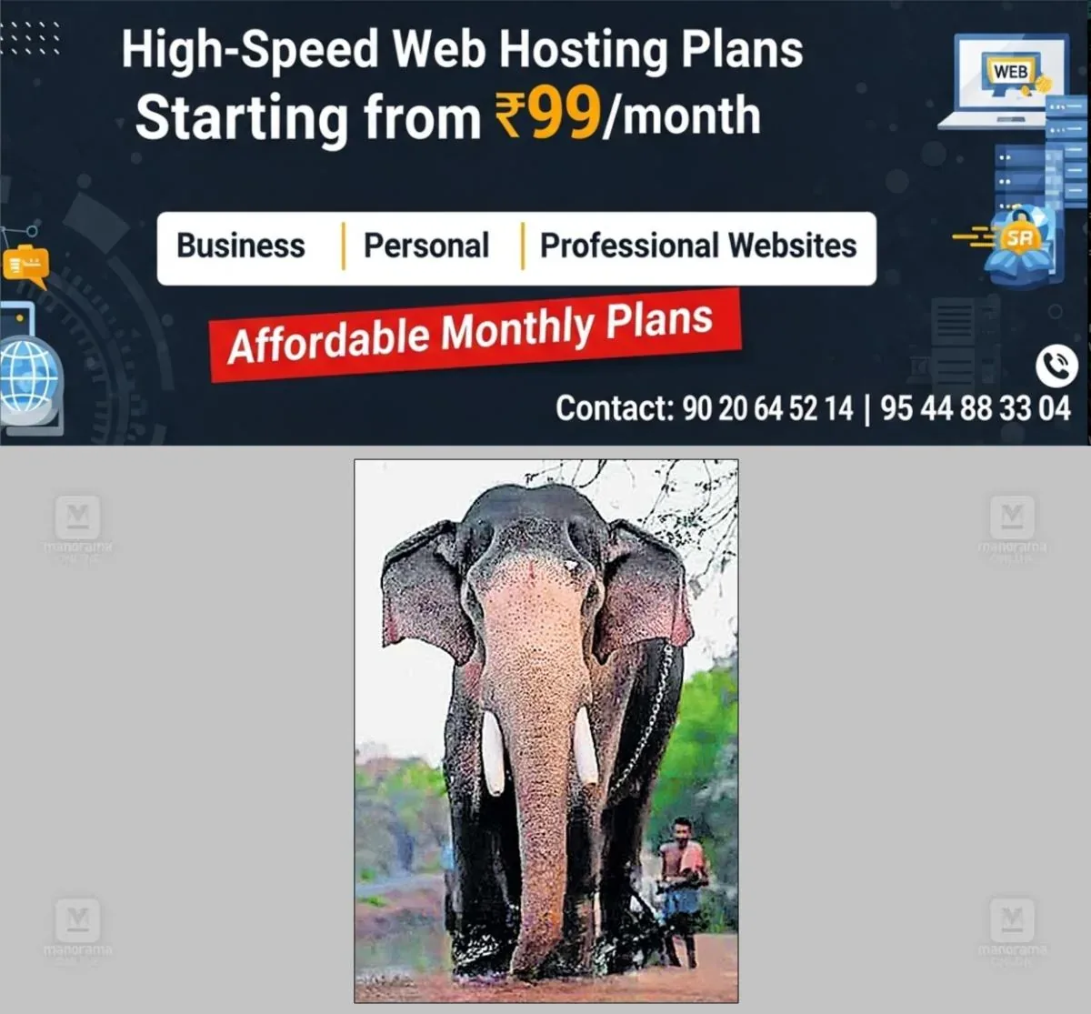newskerala.net_1763014696_elephant-death
