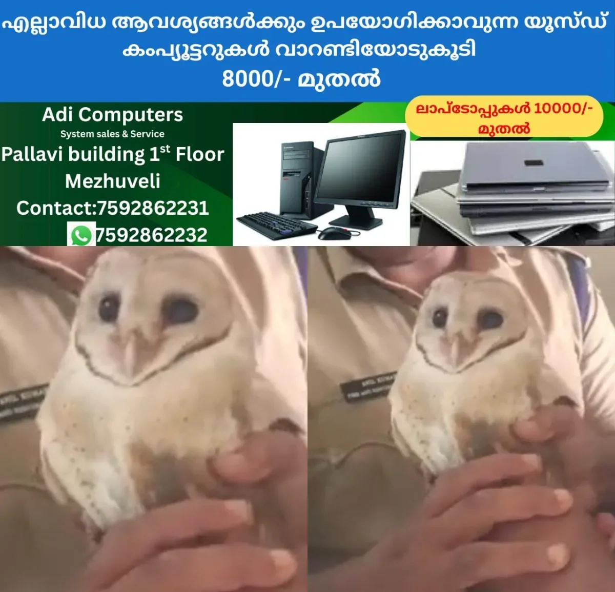 newskerala.net_1763015659_w-1280h-720format-jpgimgid-01k9xyjegbvxp9817dw1615zx3imgname-vellimoonga-1763015473675