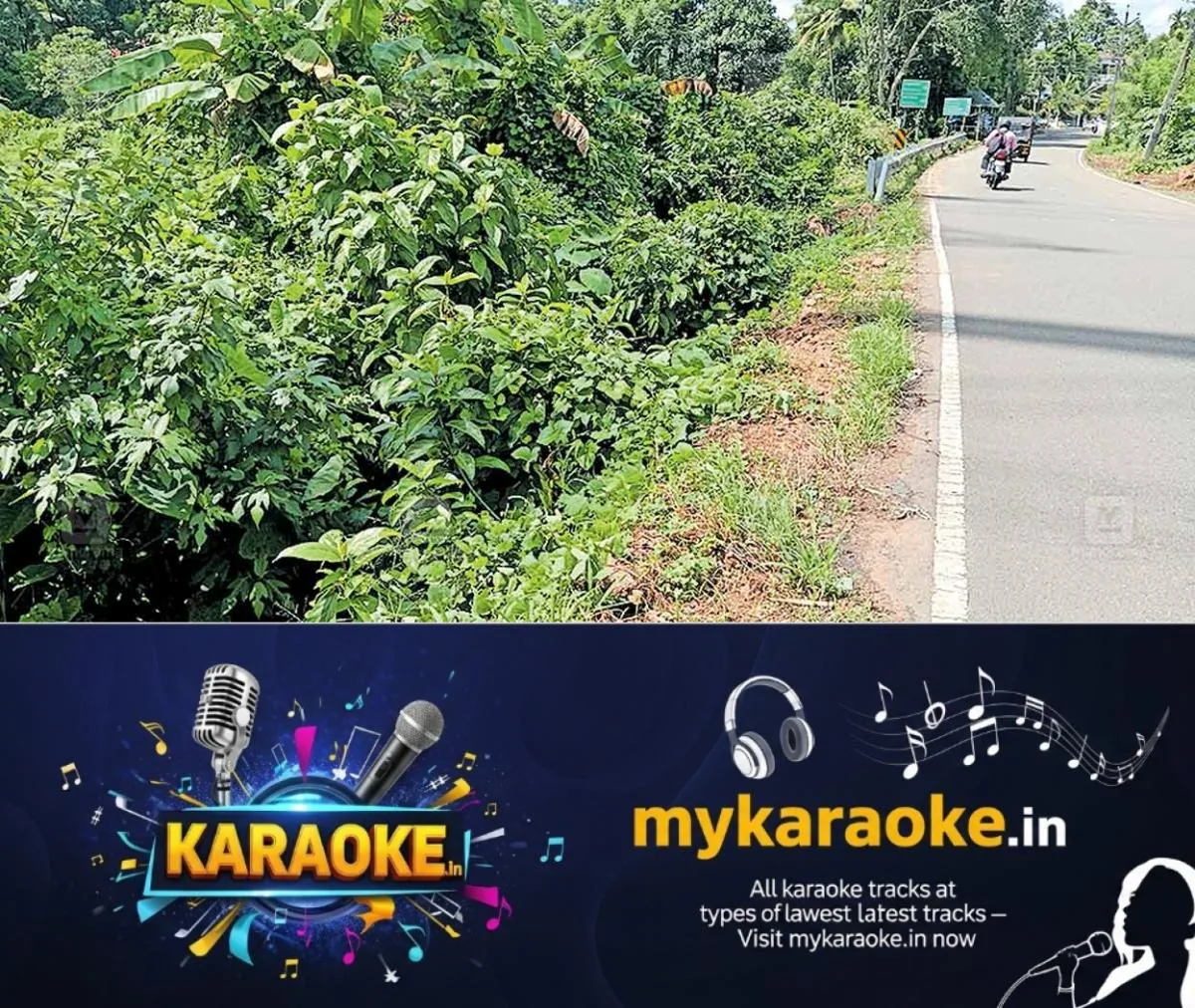 newskerala.net_1763089107_ranni-road