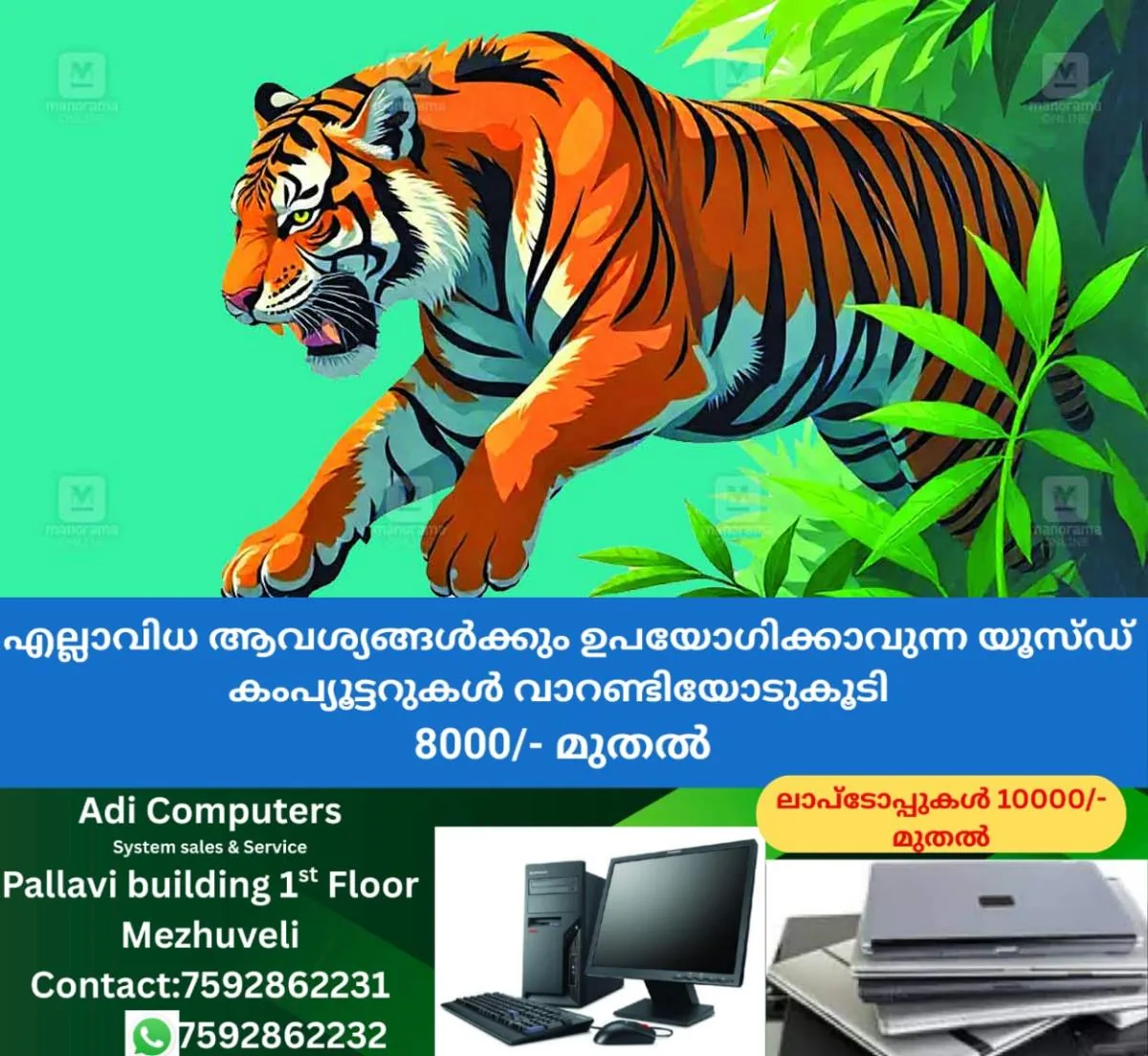 newskerala.net_1763097605_tiger