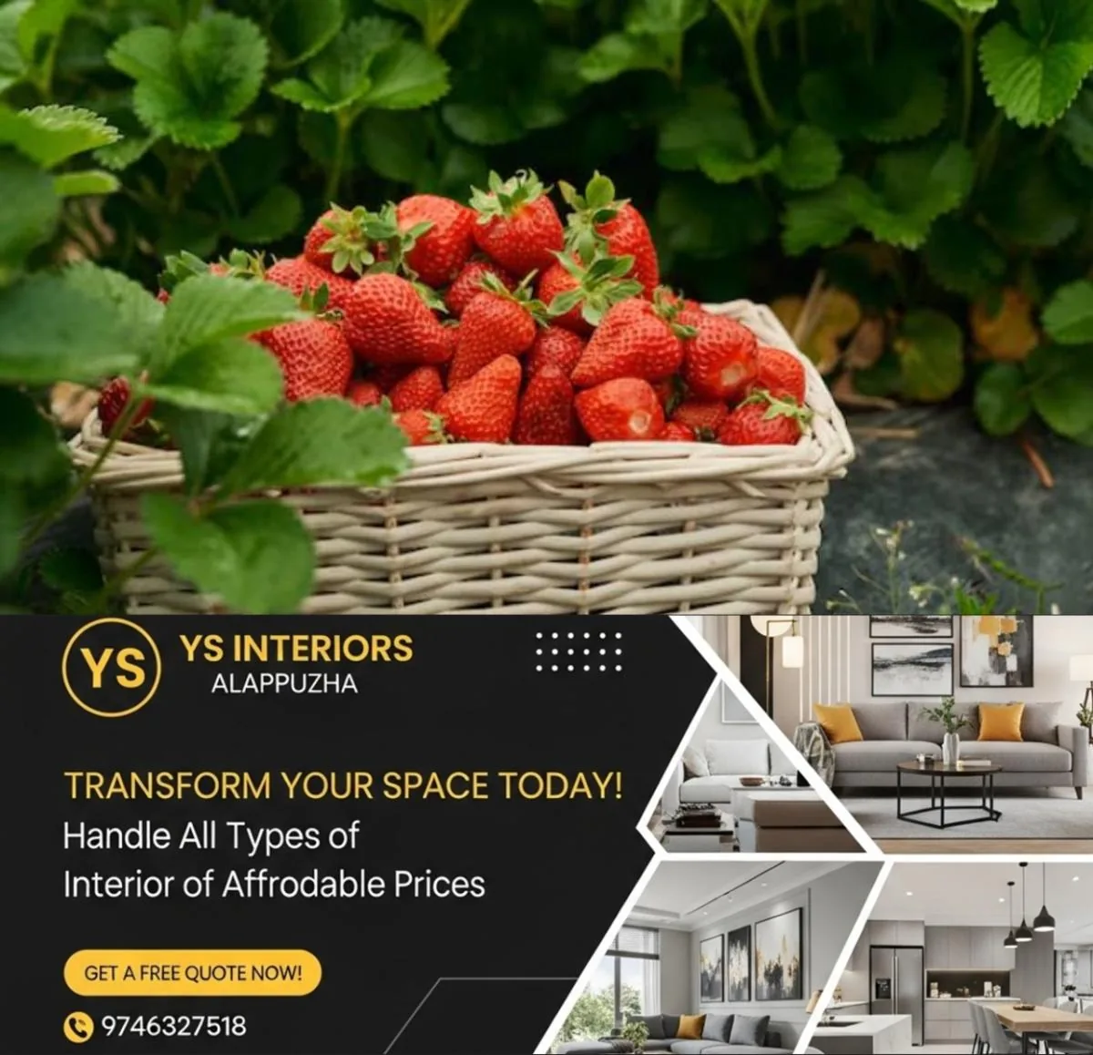 newskerala.net_1763128092_w-1280h-720format-jpgimgid-01jqnn8kprkpnpqryj96jv2nfjimgname-When-to-plant-strawberries-summer-o