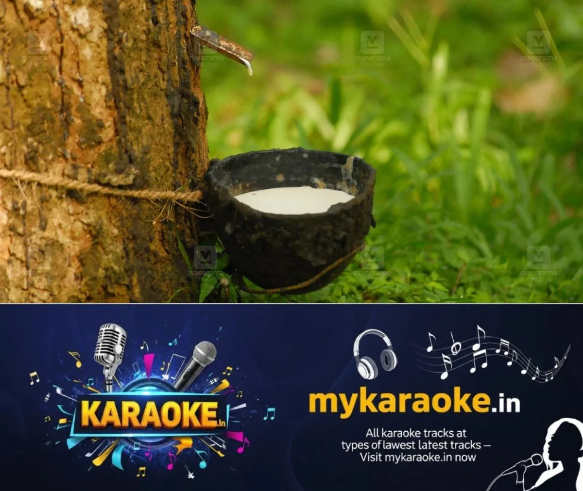 newskerala.net_1763134096_rubber-tree-carbon-credit