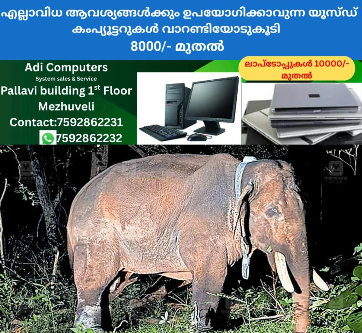 newskerala.net_1763205145_palakkad-walparai-elephant