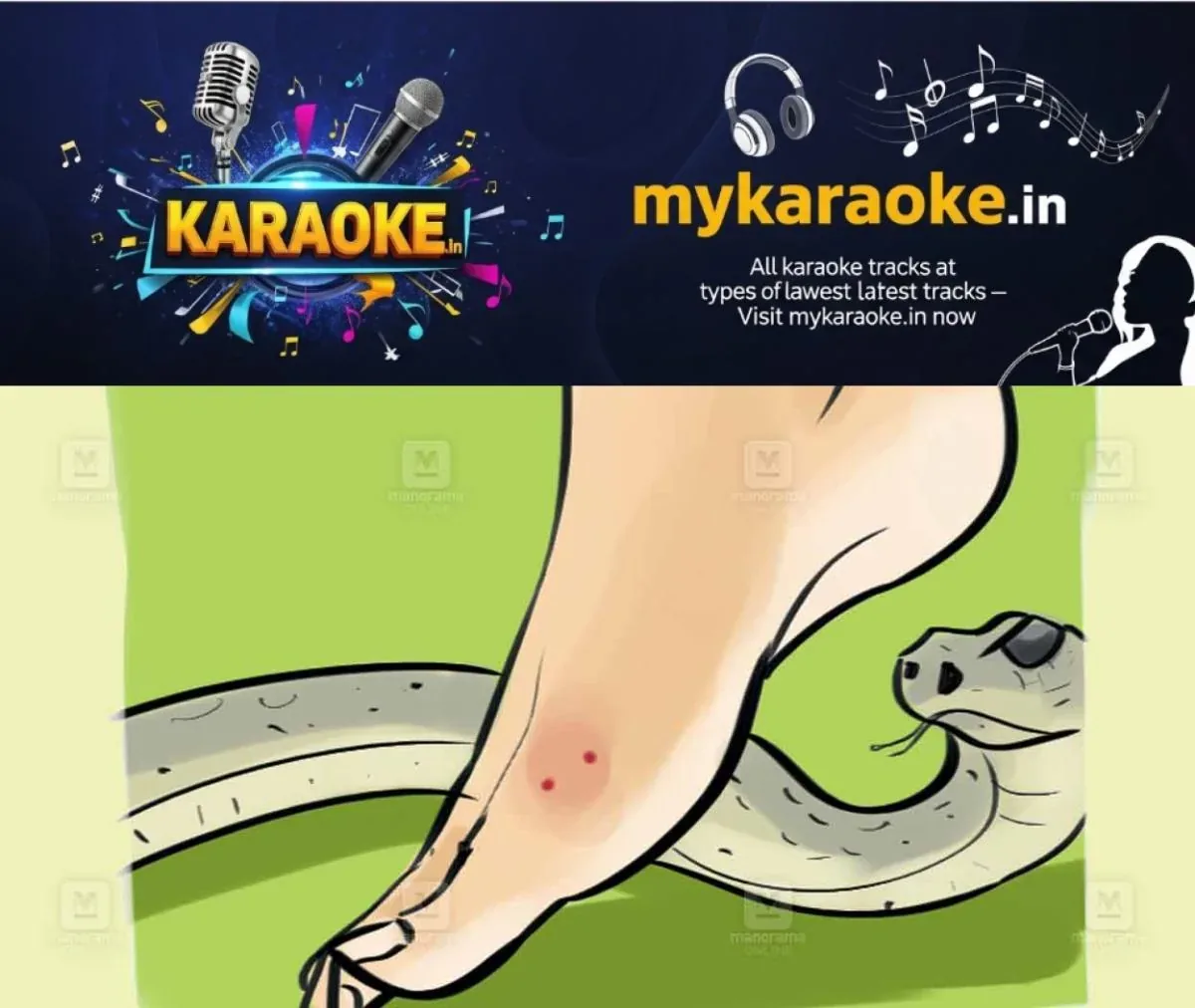 newskerala.net_1763234762_snake-bite-bathery