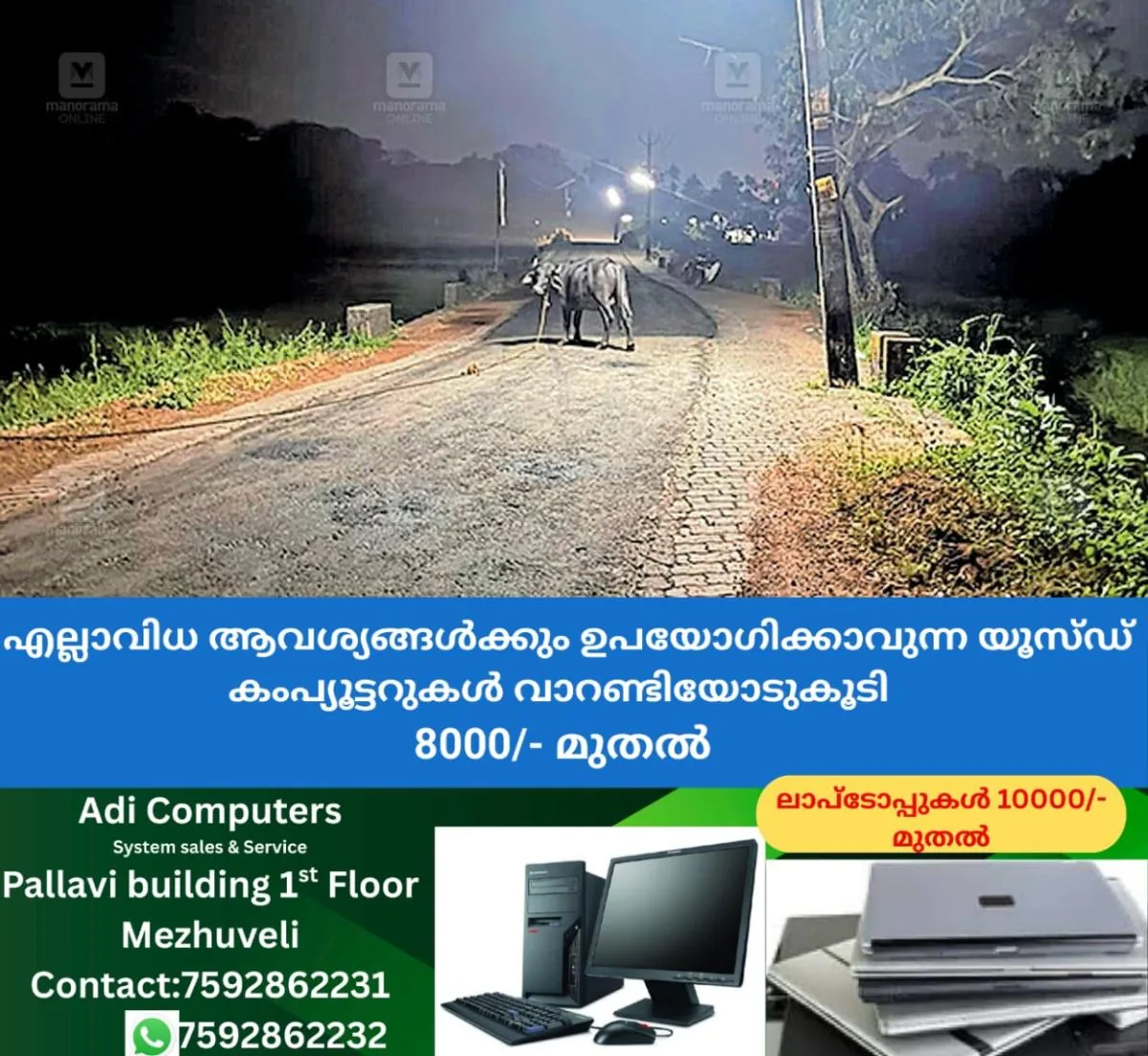 newskerala.net_1763238662_chalakudy-road-safty