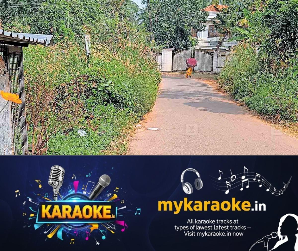 newskerala.net_1763272344_vellaloor-road
