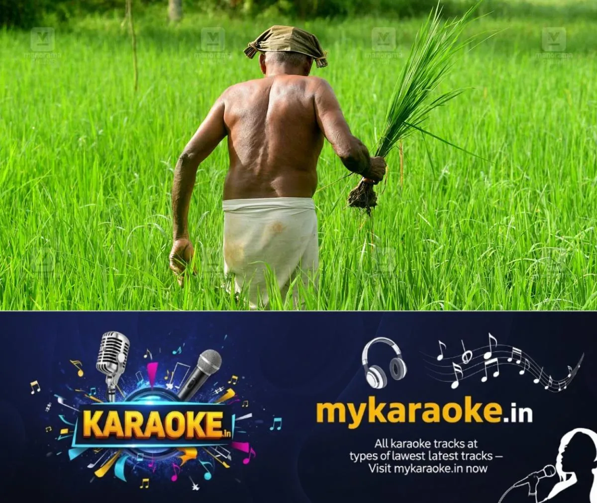 newskerala.net_1763295964_farmer