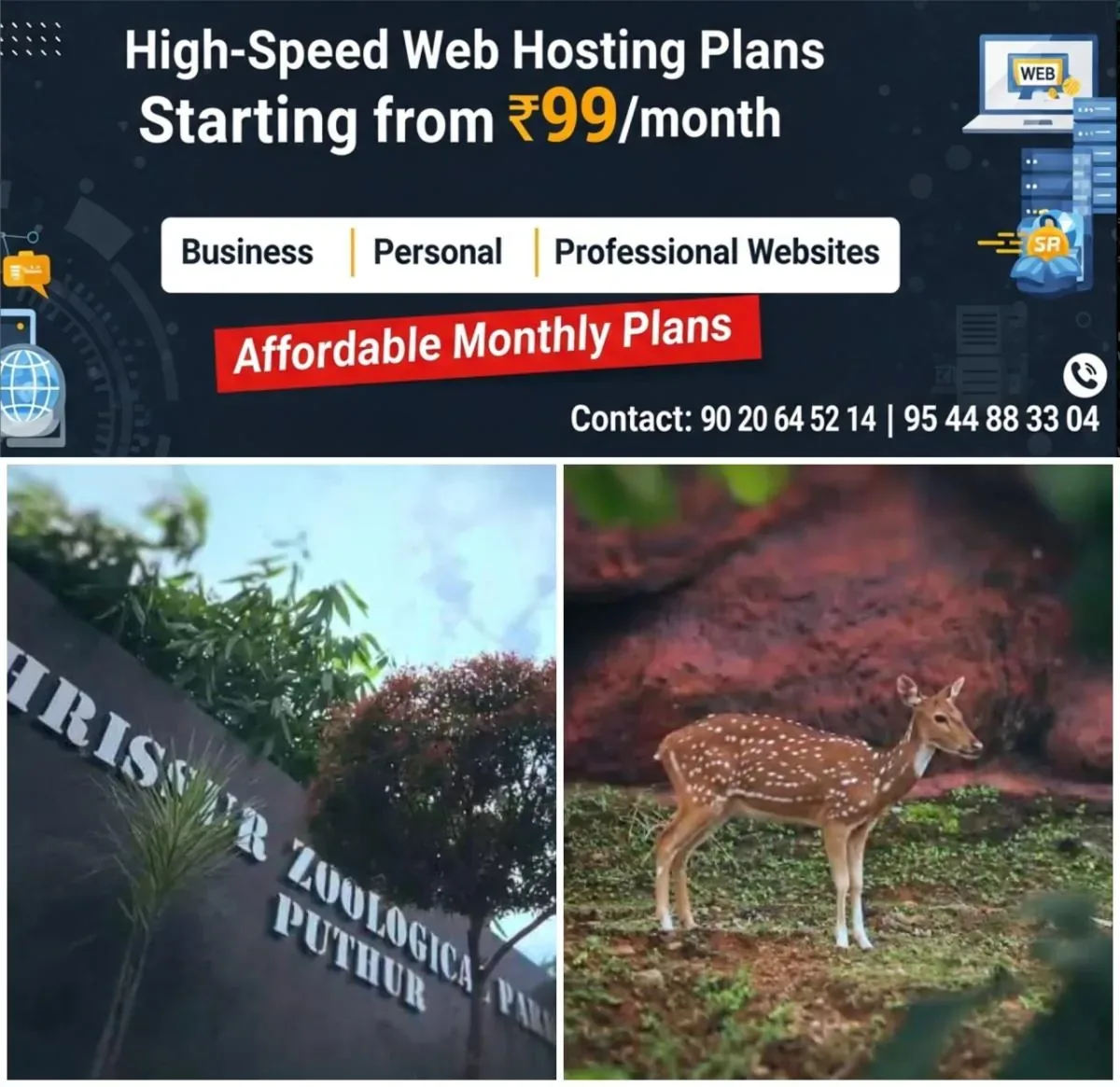 newskerala.net_1763304784_w-1280h-720format-jpgimgid-01k9txr1k1mv9vw4w16bfye81aimgname-deer-death-1762913945185