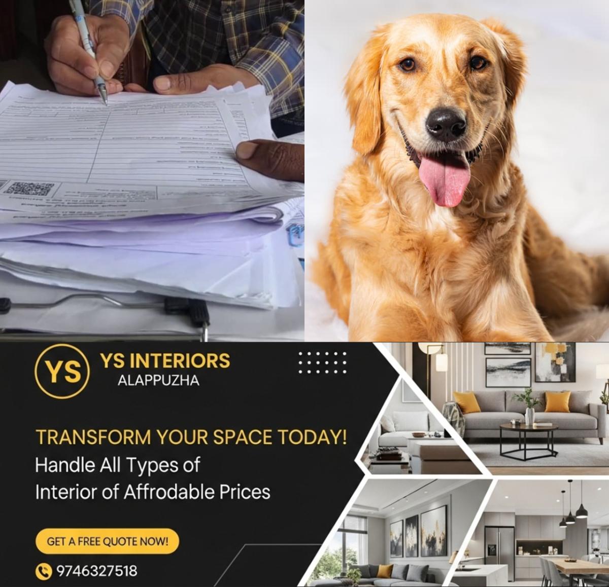 newskerala.net_1763388977_w-1280h-720format-jpgimgid-01ka920b5jhmbgsasf21xz6wczimgname-fotojet-36-1763388173490