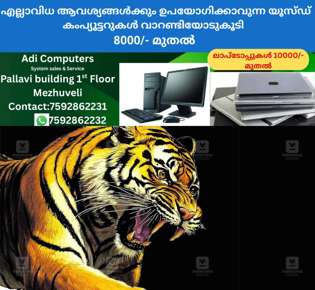 newskerala.net_1763450884_tiger-local-new