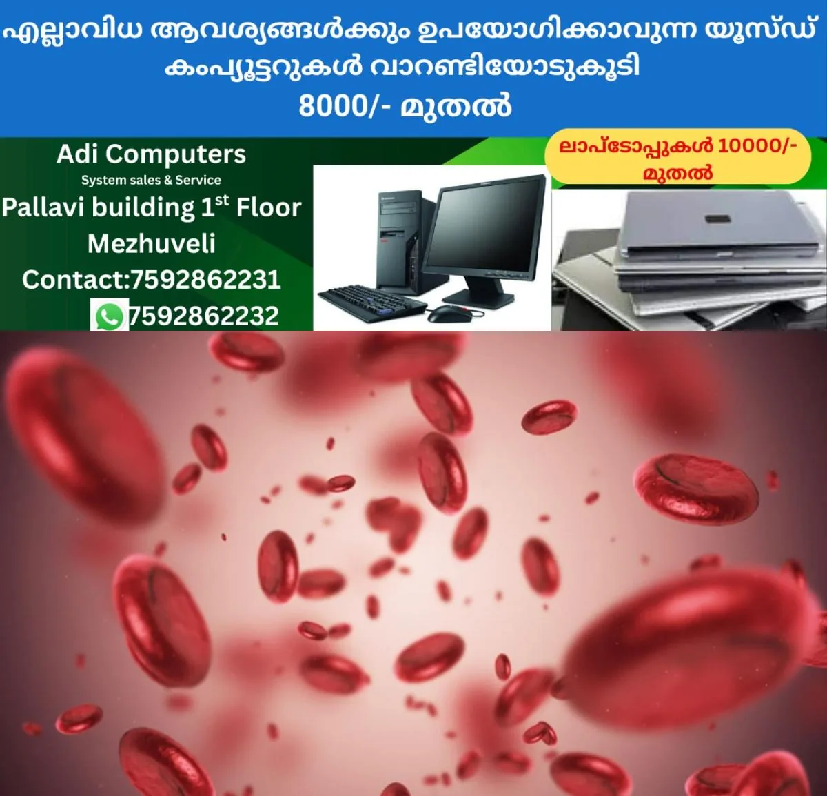 newskerala.net_1763476947_w-1280h-720format-jpgimgid-01jegz19jv227xt12t379zegyyimgname-fotojet-25-