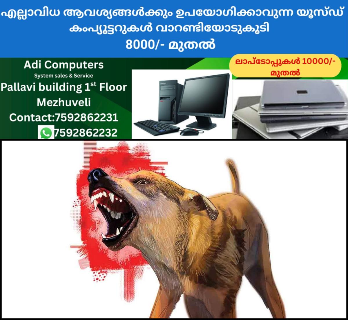 newskerala.net_1763531172_strat-dog