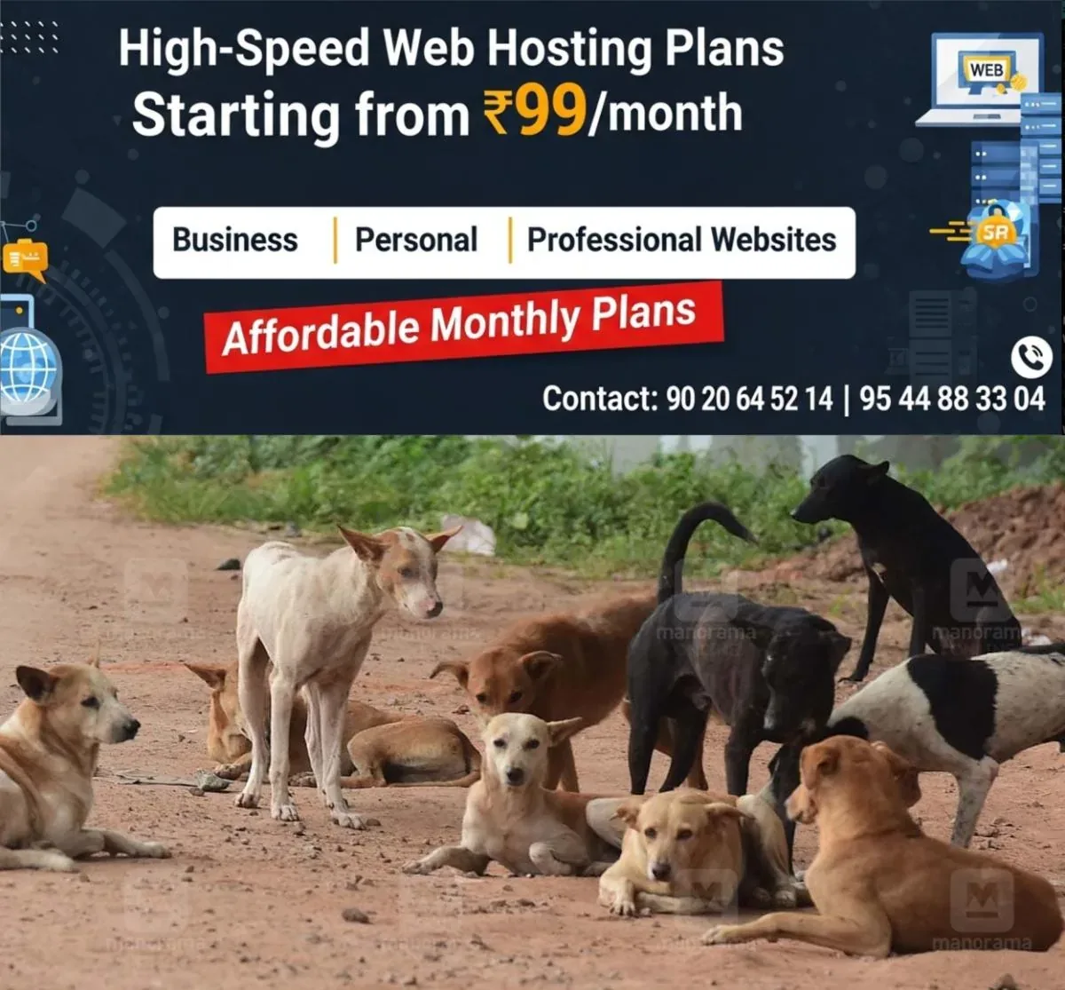 newskerala.net_1763609184_stray-dogs-menace