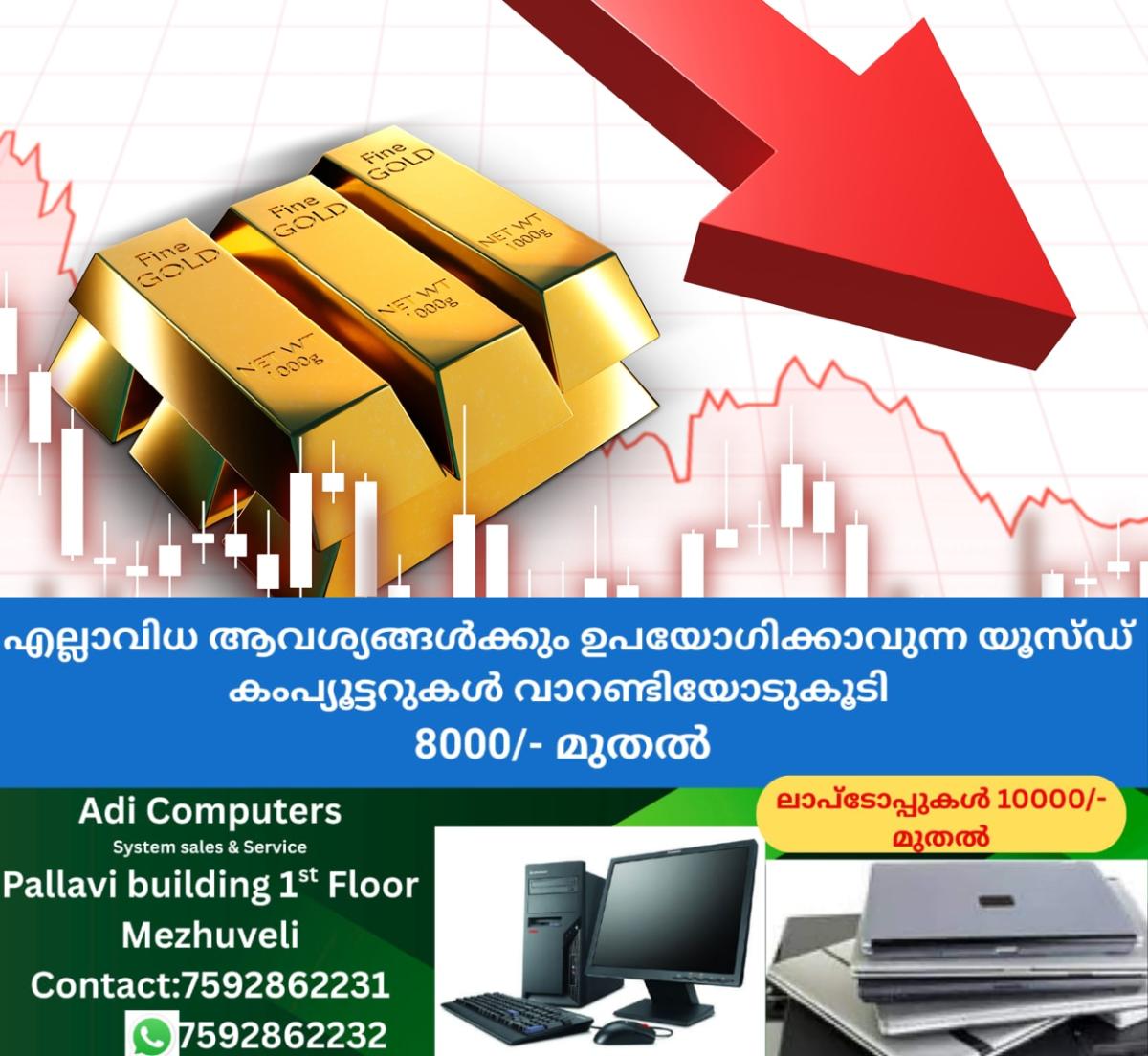 newskerala.net_1763633178_gold-down-bar-arrow-main