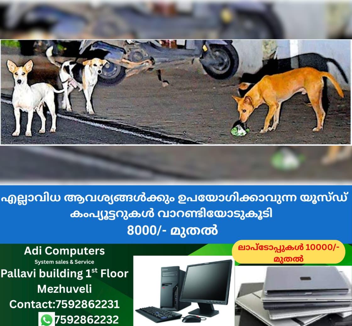 newskerala.net_1763635942_e123b0ab_566290688_720772_P_30_mr