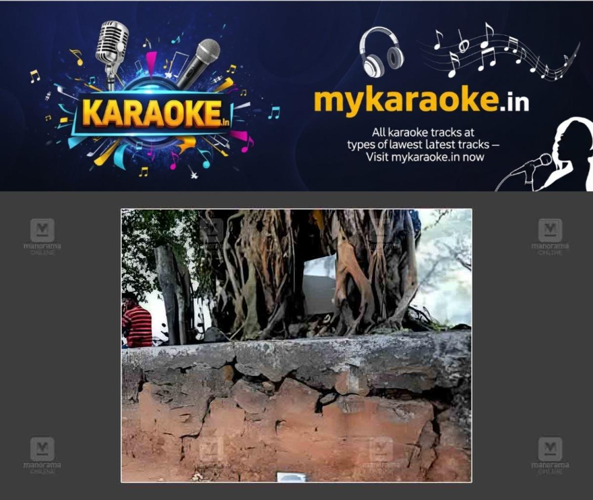 newskerala.net_1763636783_temple-altars-snakes-threaten-pilgrims-safet