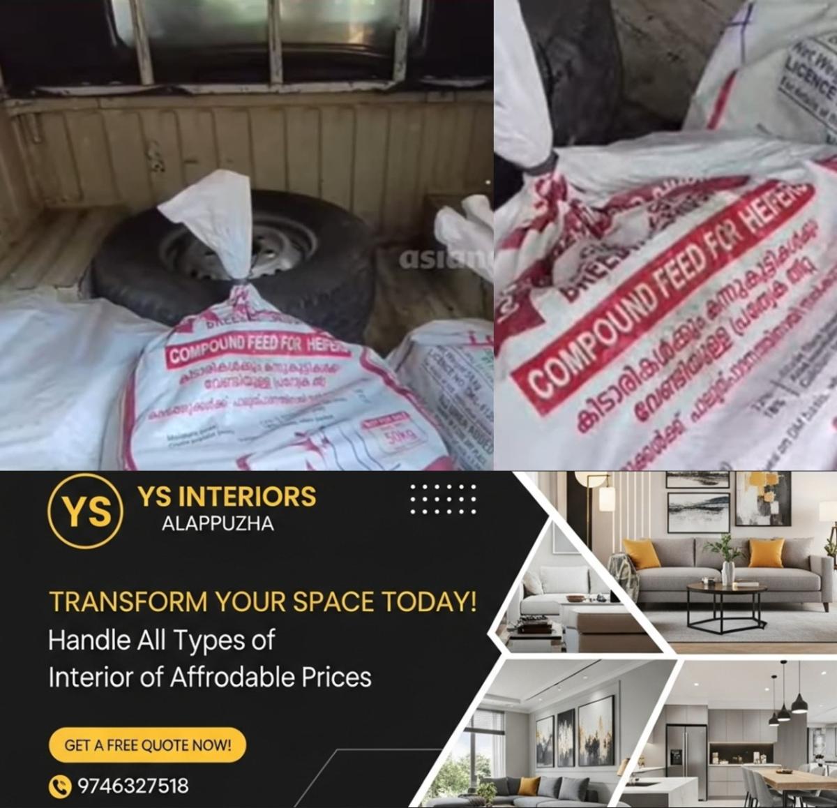 newskerala.net_1763679724_w-1280h-720format-jpgimgid-01kahp0evre5c2cksshyw5pzp9imgname-sandalwood-tree-1763677584248