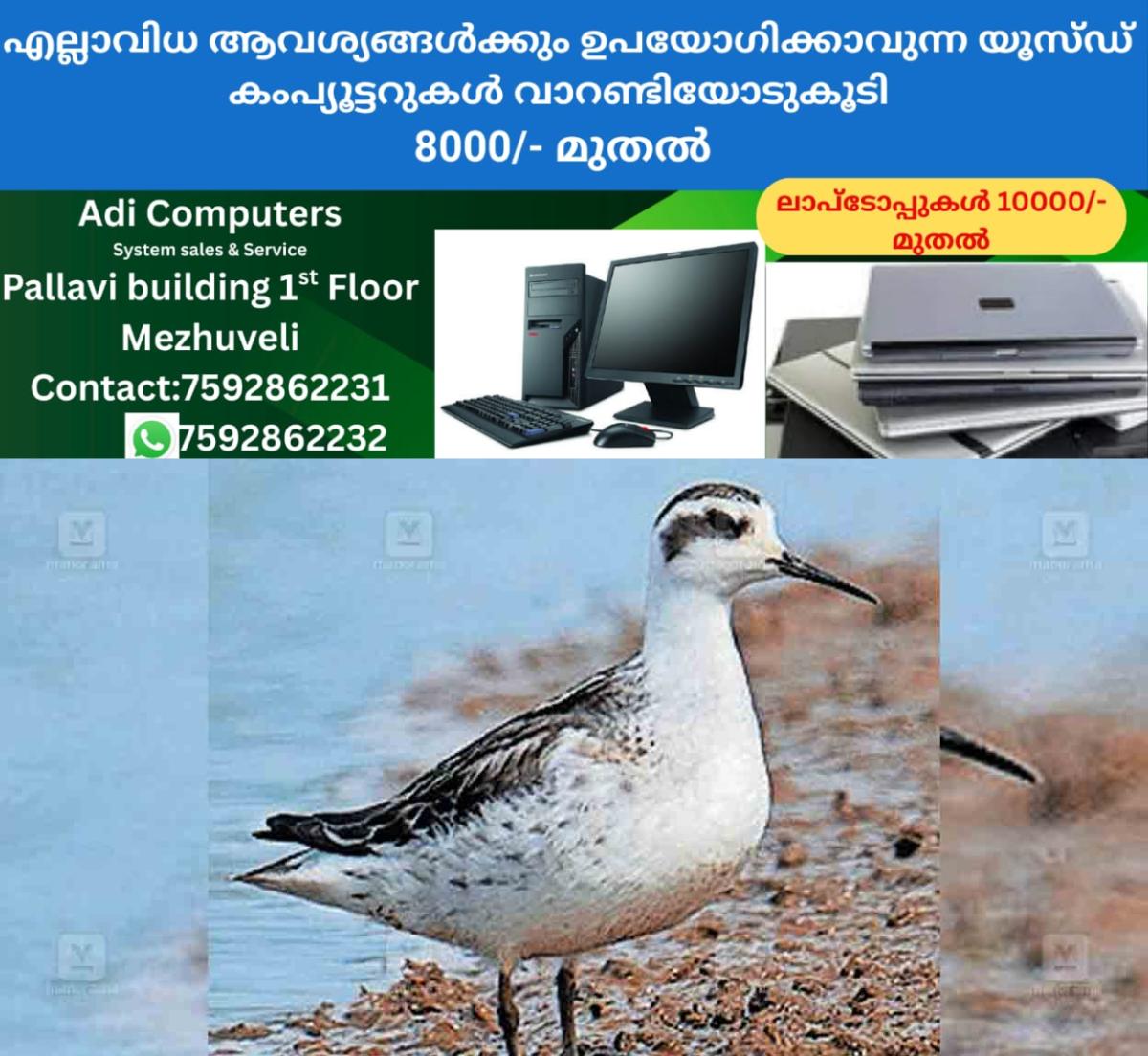 newskerala.net_1763705653_rare-red-necked