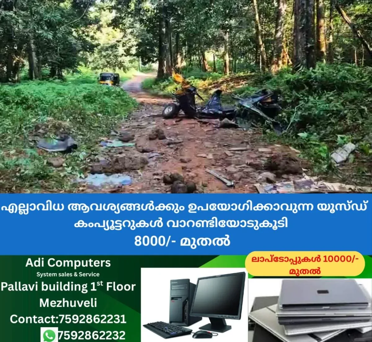 newskerala.net_1763710213_auto-elephant-attack