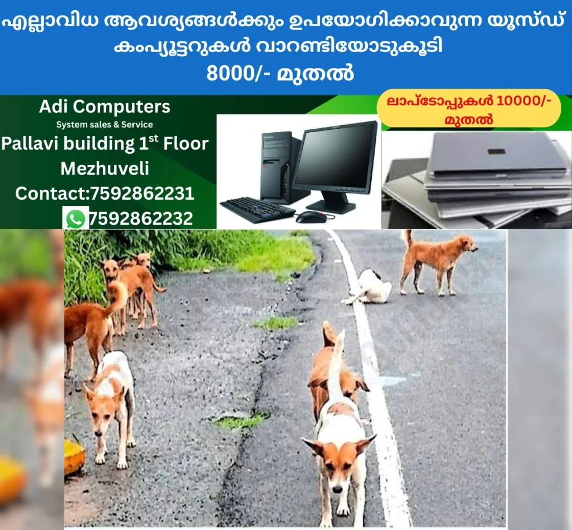 newskerala.net_1763718613_fce2f944_350701968_721532_P_4_mr