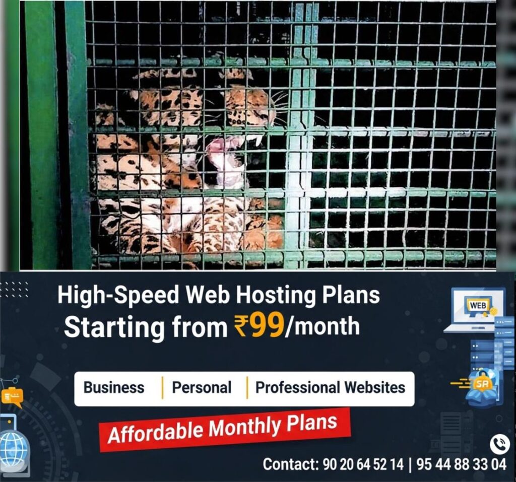 newskerala.net_1763725098_1f07c9ef_392588400_721391_P_7_mr