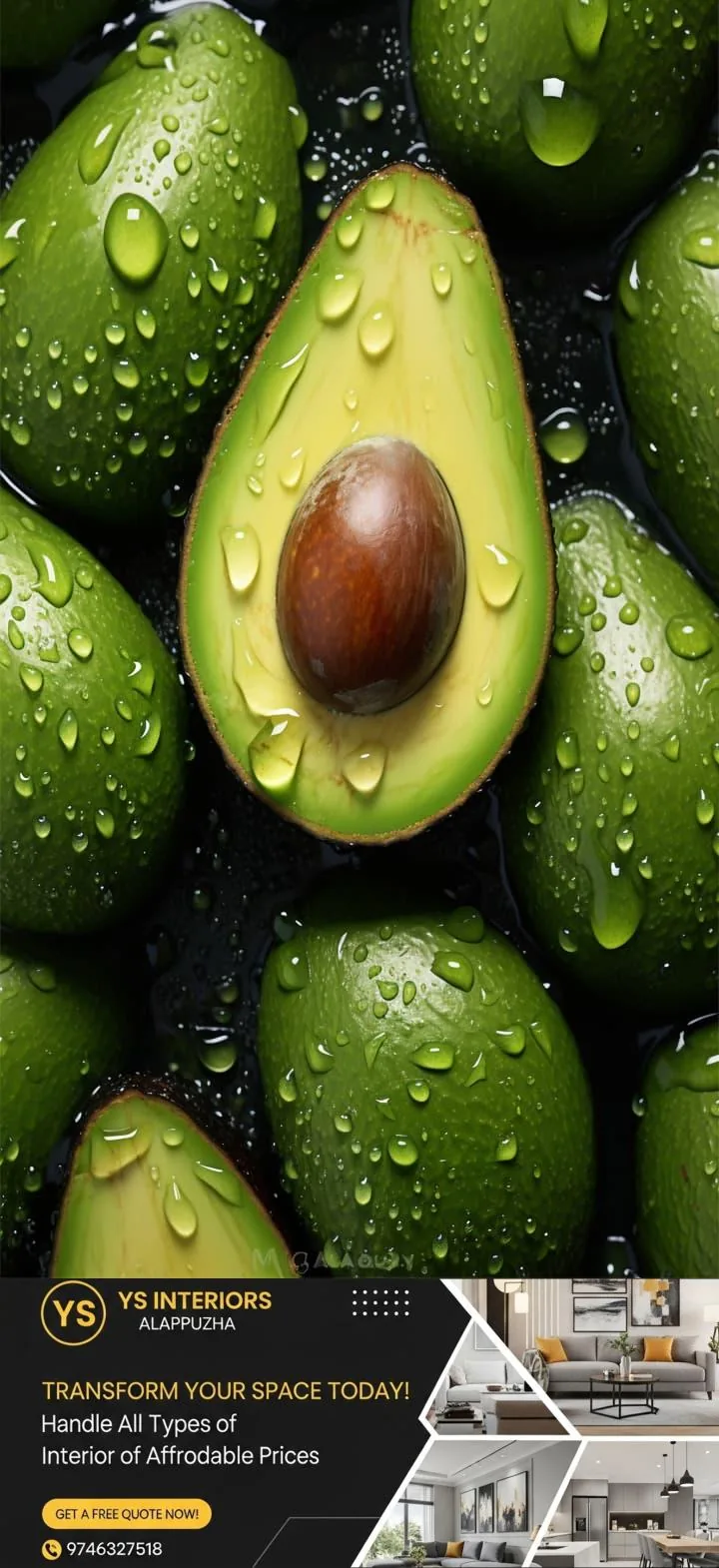 newskerala.net_1763757366_w-720h-1280format-jpgimgid-01k7h8z2zm08sb4rw5r0pnm3sximgname-avocado-keep-idea-1760442682351